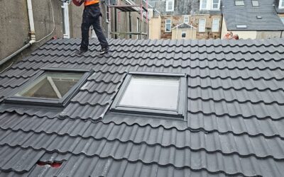 Flat Roof Repairs: Everything You Need to Know